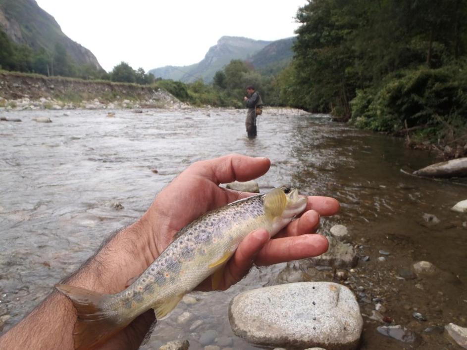Gites Communaux A Lourdios Exterior foto