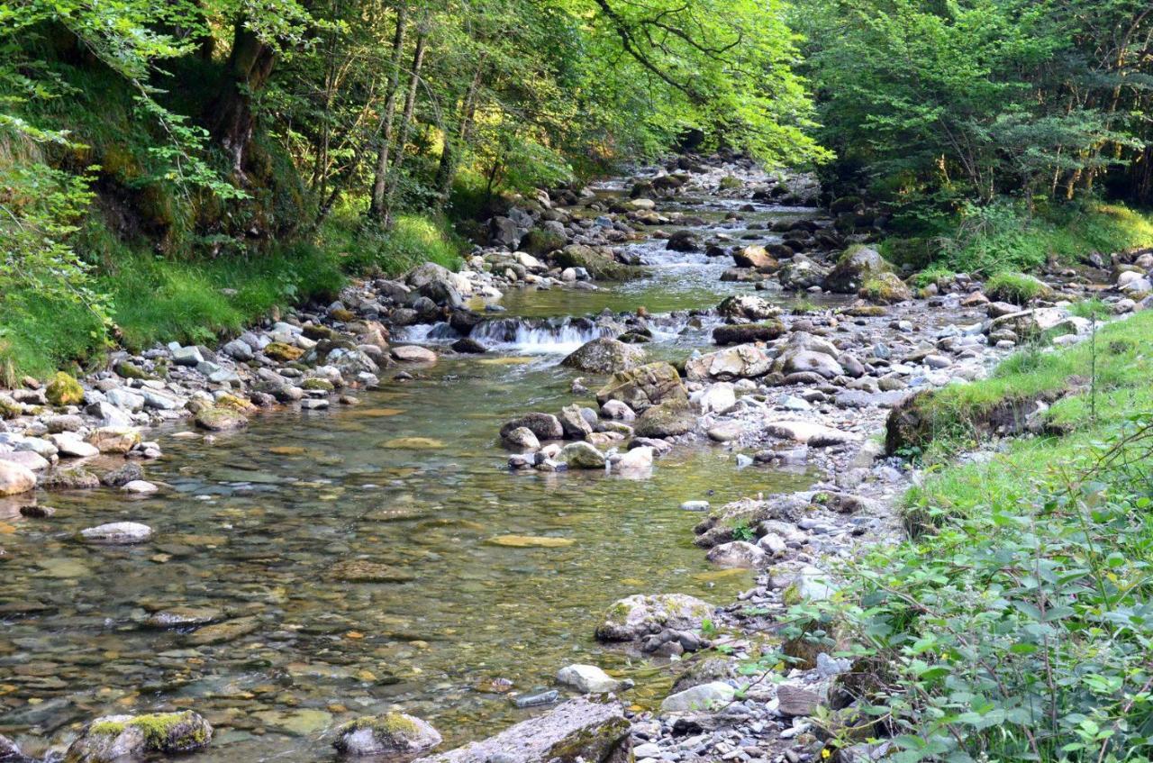 Gites Communaux A Lourdios Exterior foto
